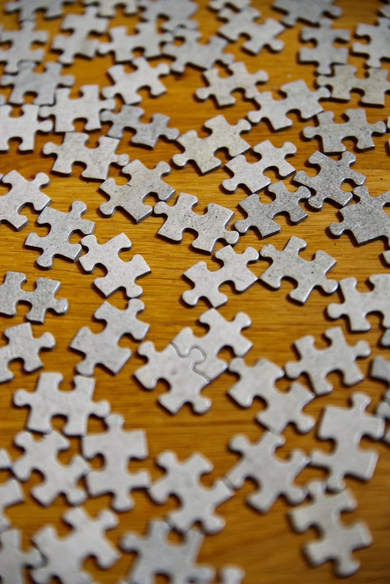 Paradoxical Puzzles