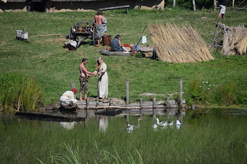 Viking Compass